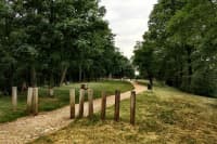 PH880x585-fullsizeoutput 105a