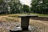 PH880x585-fullsizeoutput 105c